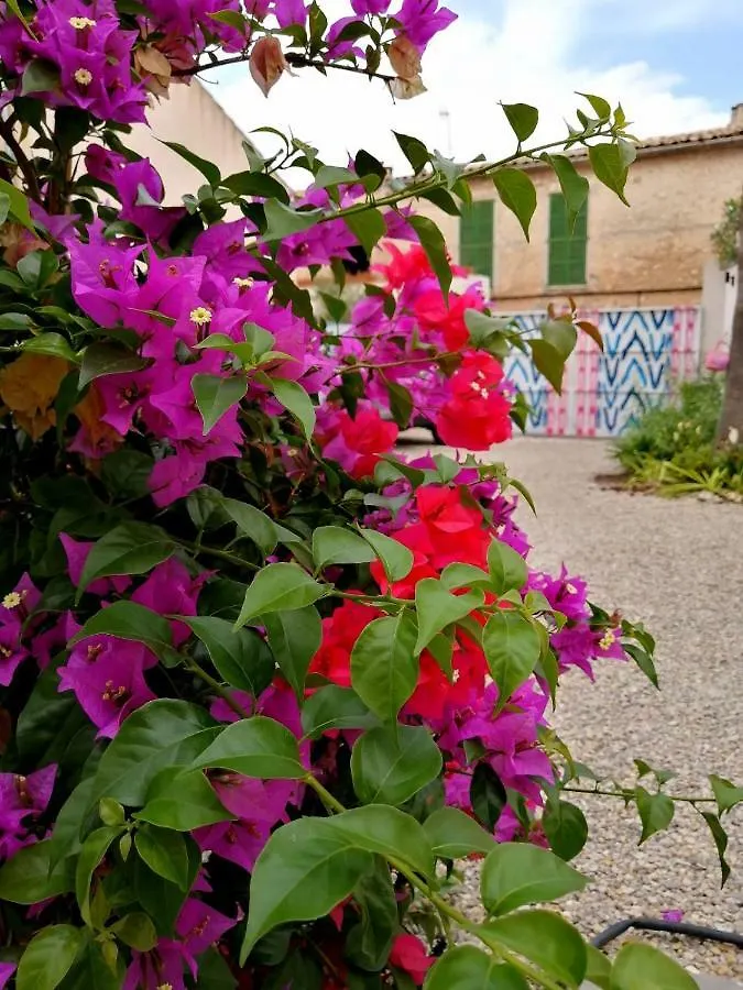 Ten Mallorca - Adults Only Sineu